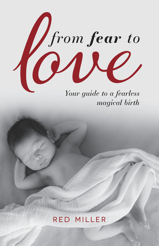 Cover image for From Fear to Love, isbn: 9781781332221