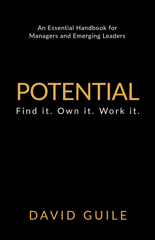 Cover image for Potential, isbn: 9781781332276