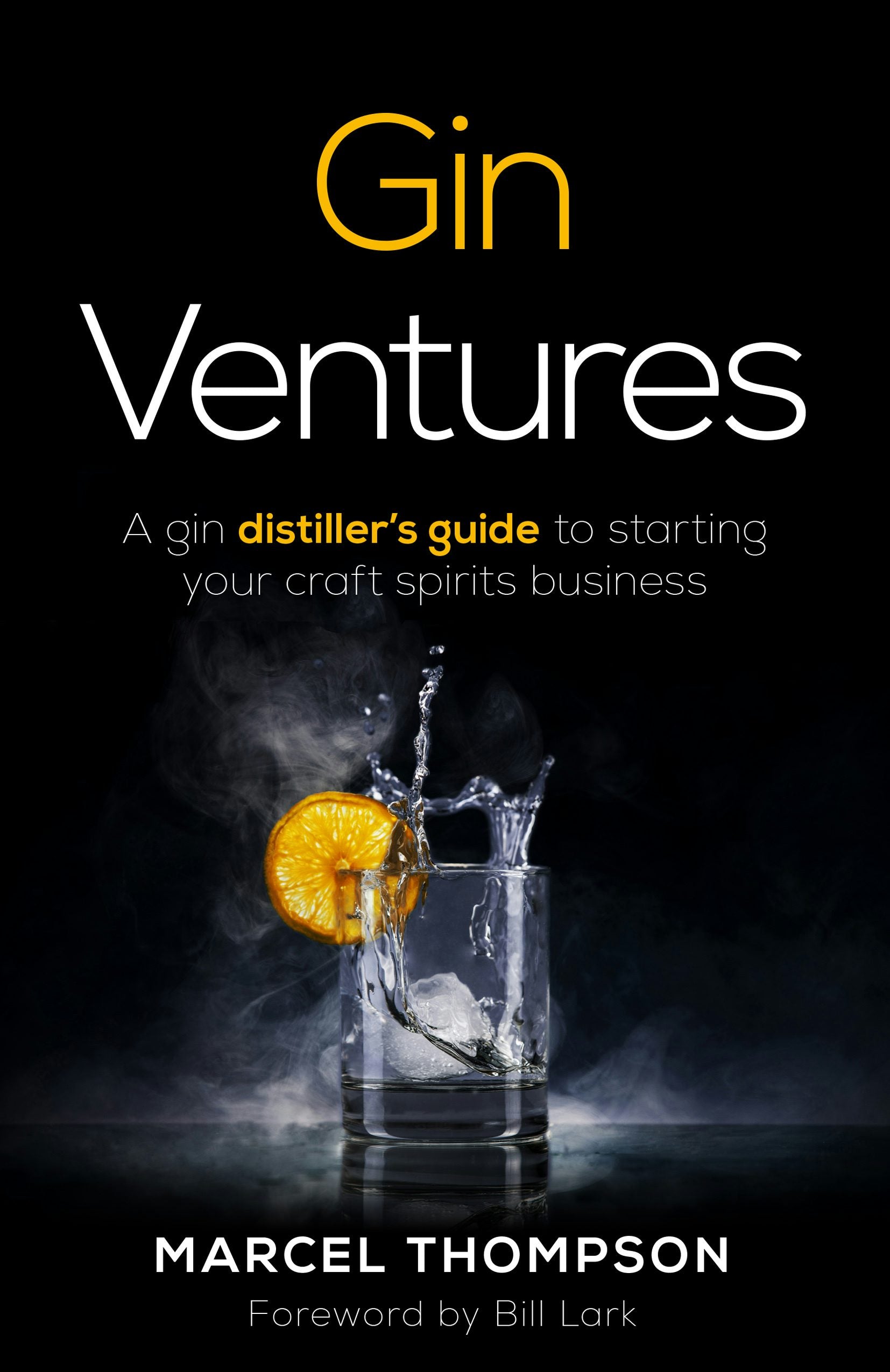 Cover image for Gin Ventures, isbn: 9781781336243