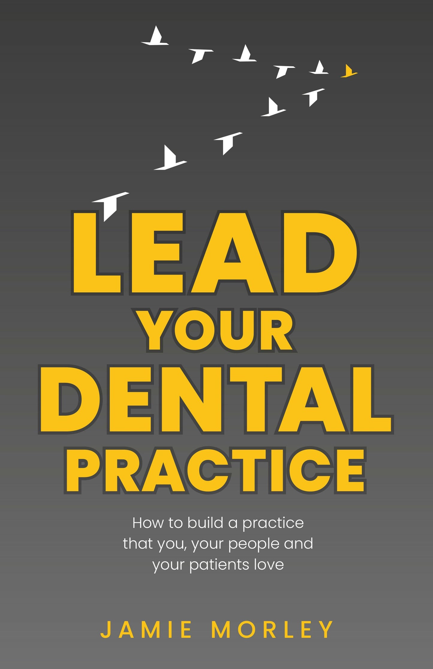Cover image for Lead Your Dental Practice, isbn: 9781781336281
