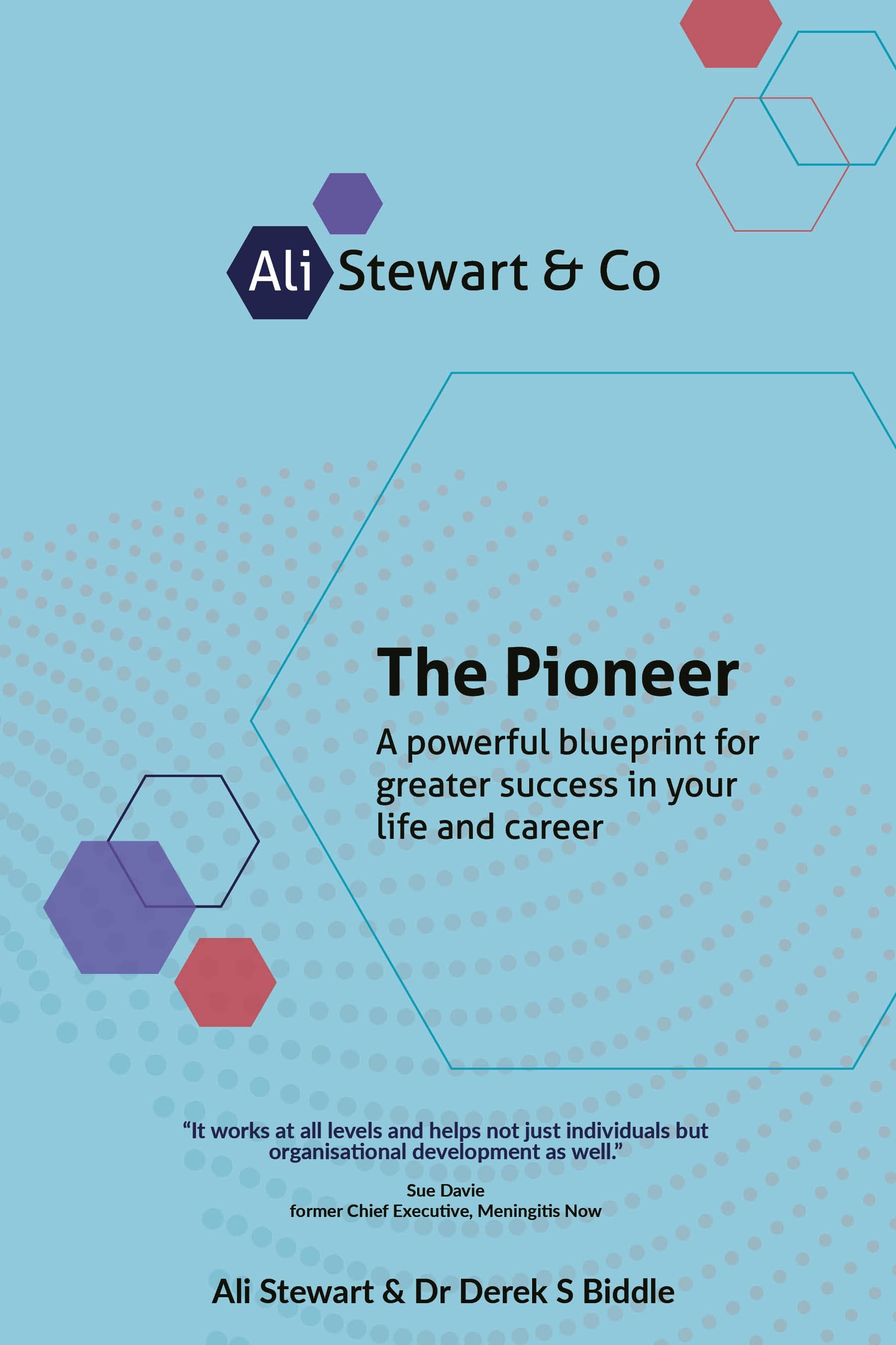 Cover image for The Pioneer, isbn: 9781781338766