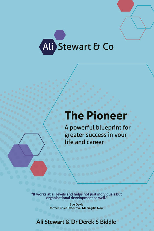 Cover image for The Pioneer, isbn: 9781781338766