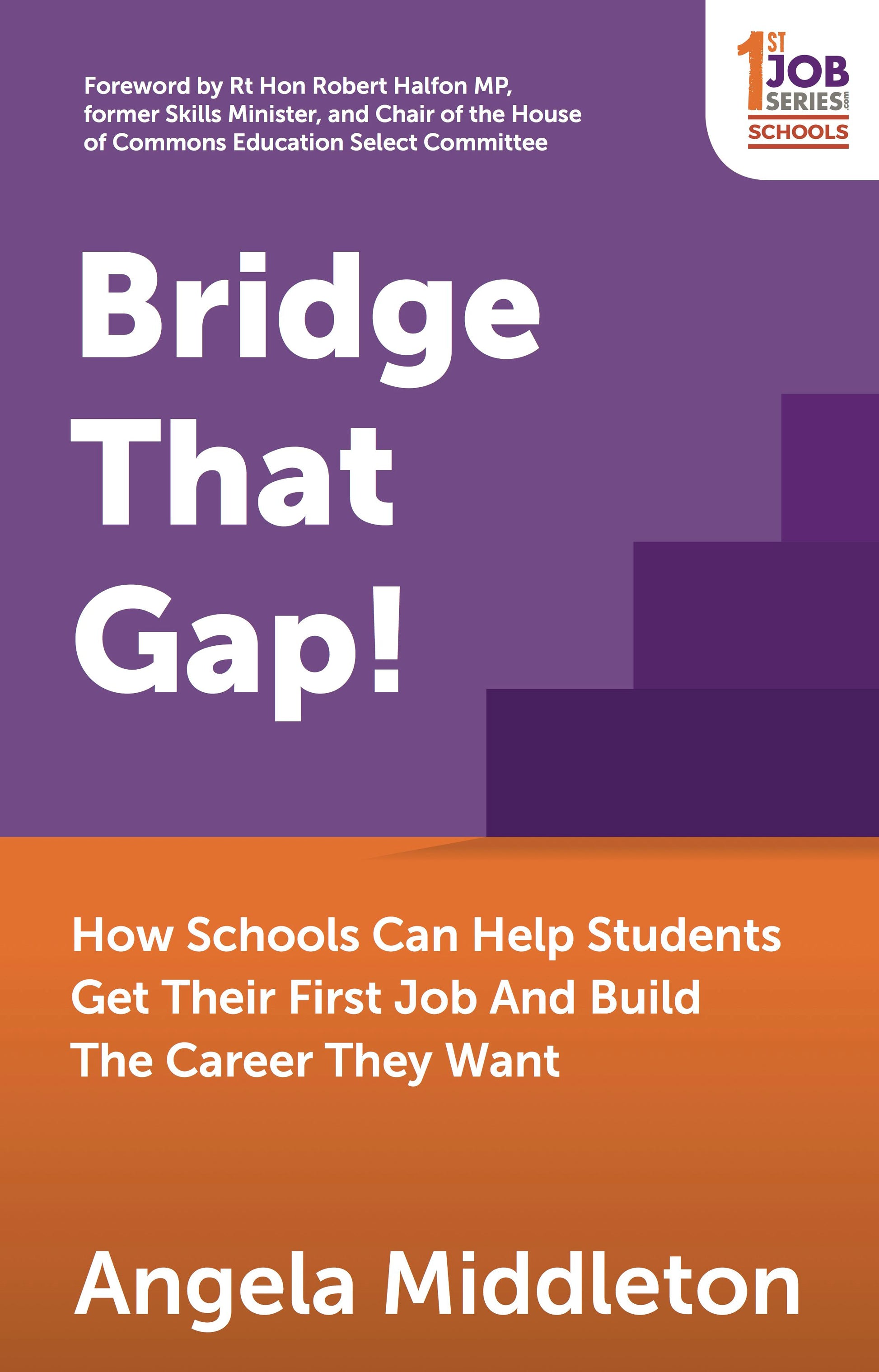 Cover image for Bridge That Gap!, isbn: 9781784521356