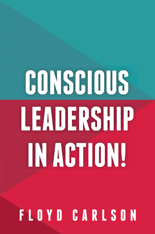 Cover image for Conscious Leadership in Action!, isbn: 9781909623927