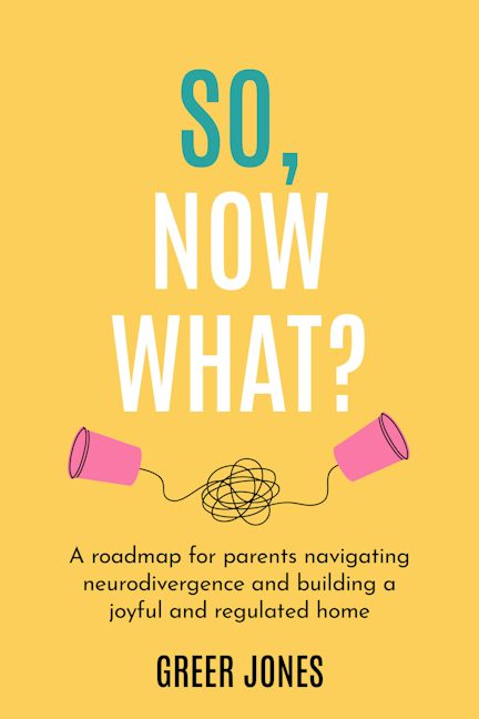 Cover image for So, Now What?, isbn: 9781918947168
